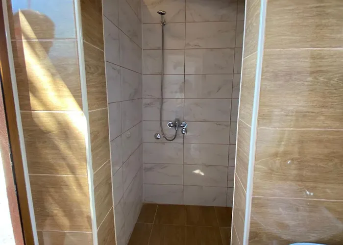 Дом отдыха Vikvid Nisor