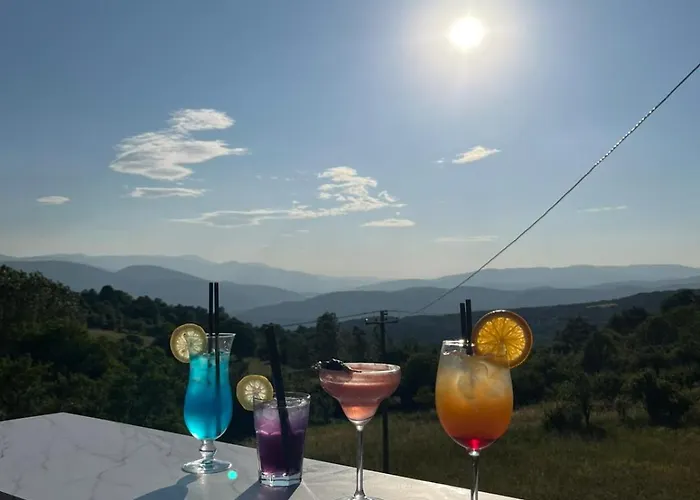 Vikvid Дом отдыха Nisor